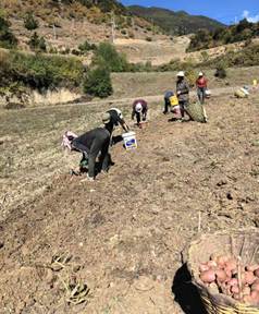 9d274b3aff36043c29a960ba9121dae