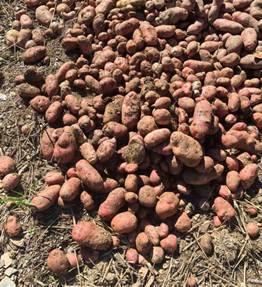 388829d4ffd4f832b3517e3f72baf39